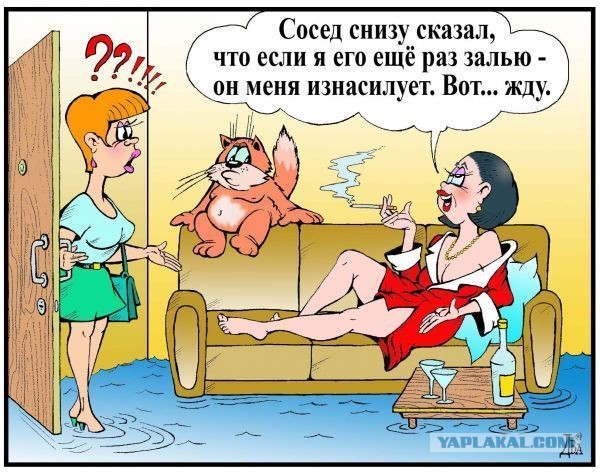 Ожидание и реальность