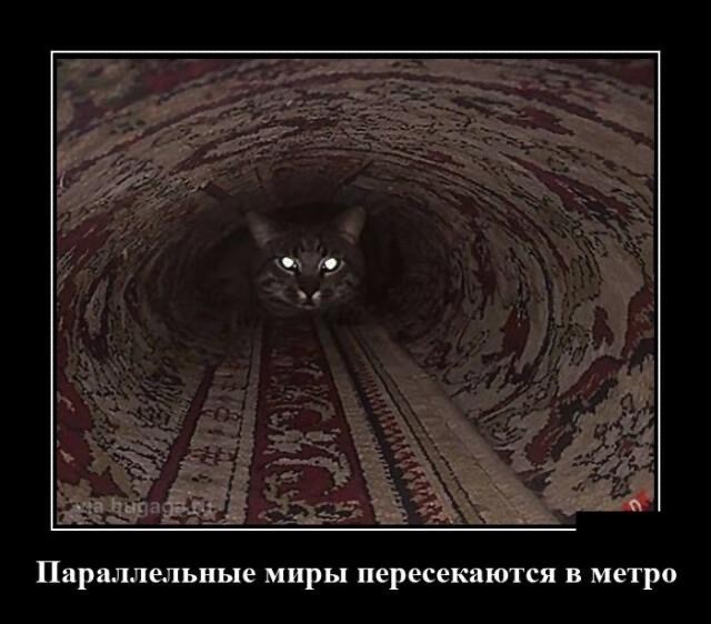 Так себе картинки 11.09.23
