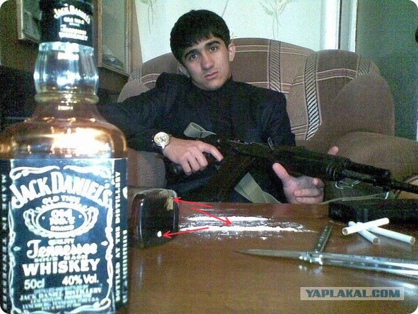 Заебись живём