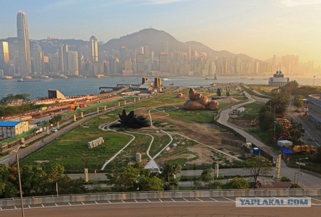 Комментарии радуют