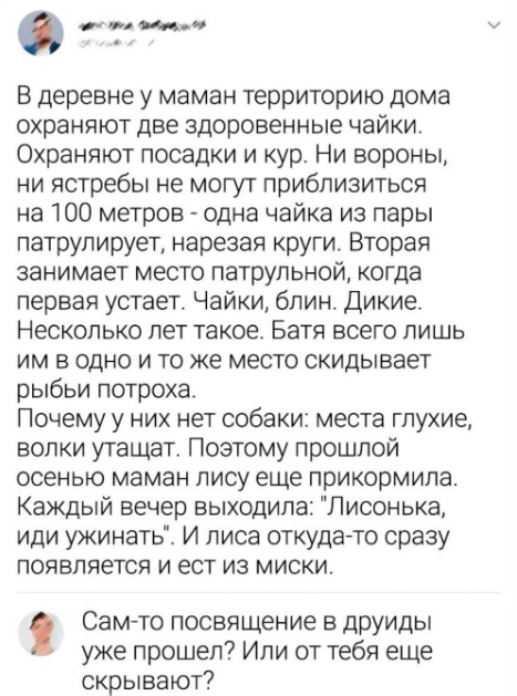 Всего понемногу. От 04.03.24