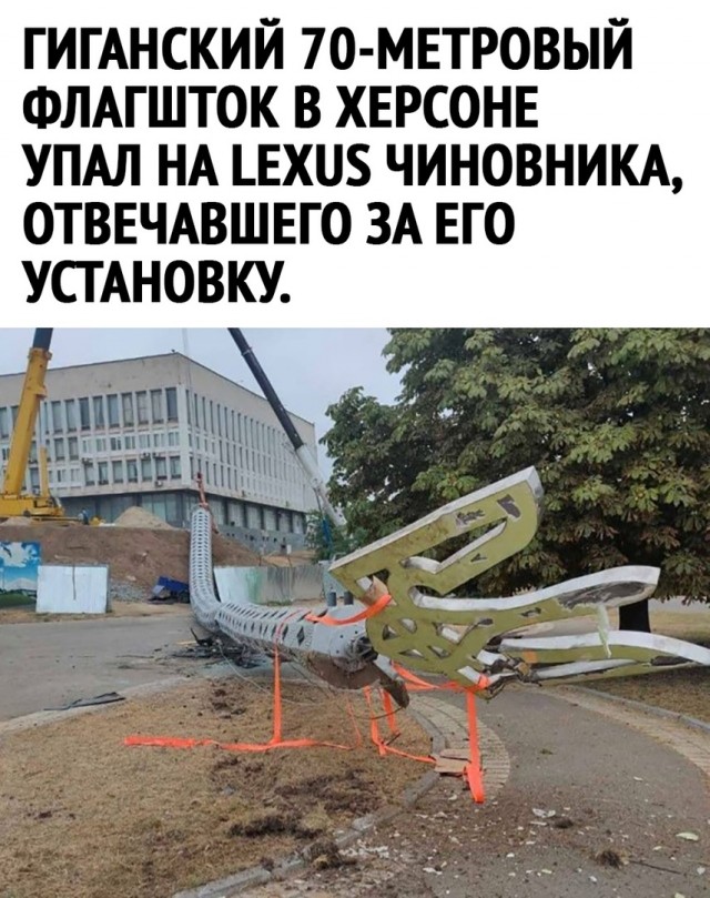 Так себе картинки 12.11.24