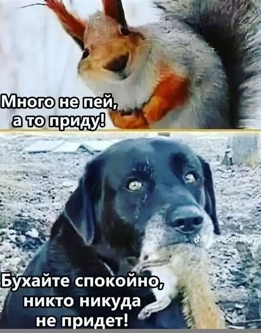 Картинки разные с надписями и без