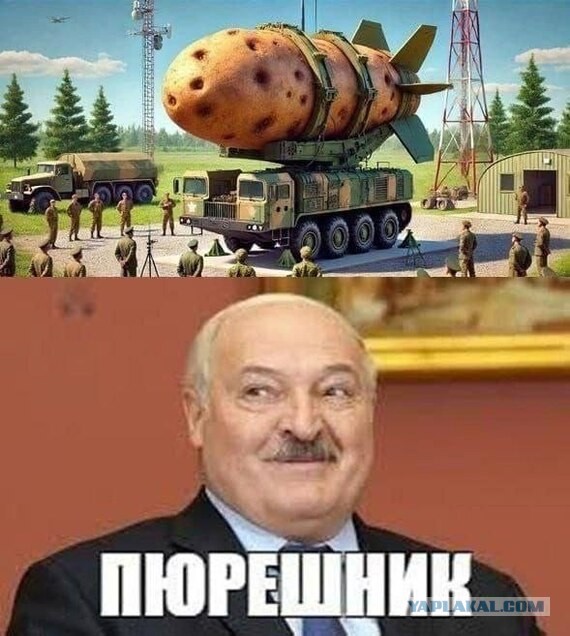 В семье из Новосибирска родился Трамп Владимирович