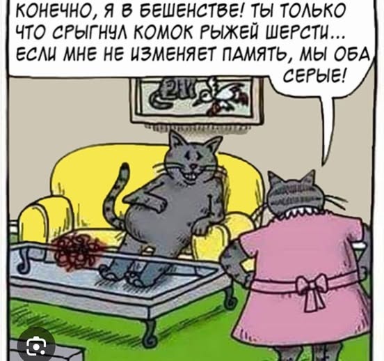 К котовторнику: подборка картинок-баянов с котиками и про котиков. Выпуск 5