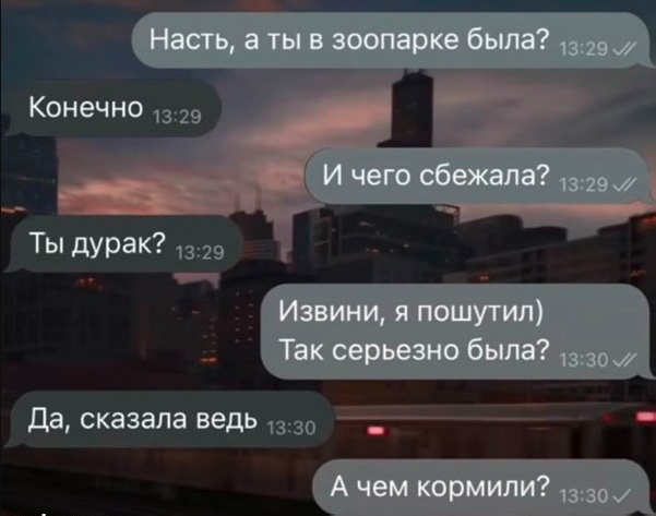Так себе картинки 04.06.25