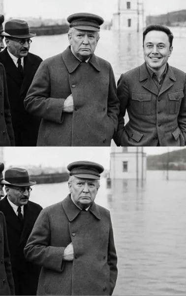 Трамп и Маск ссорятся в "прямом эфире" в Твиттере