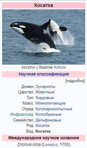 Косатки