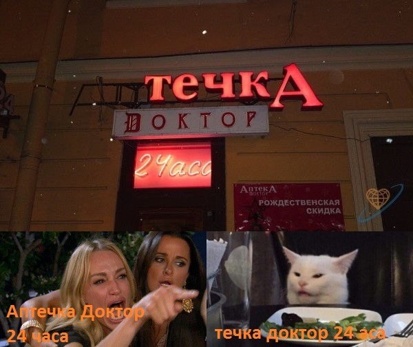 Знаменитый кот 2