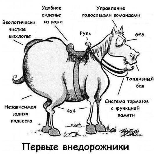Немного картинок есть у меня на пятницу.