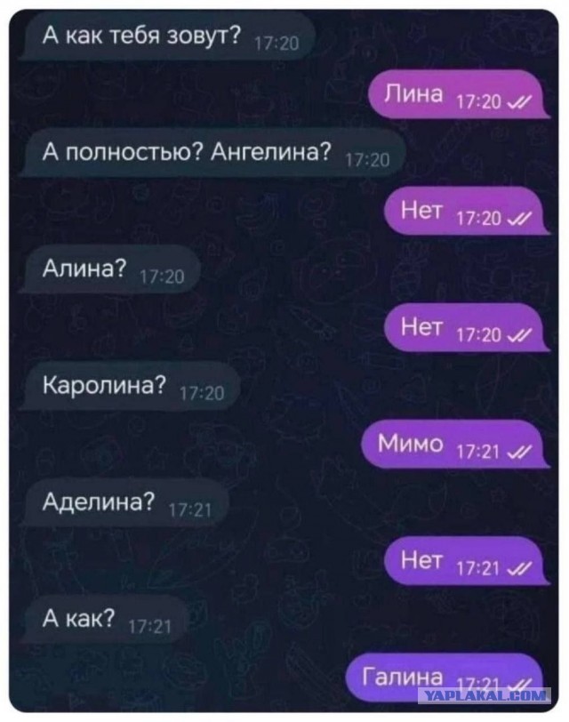 Веселые картинки в пятницу (29.08)