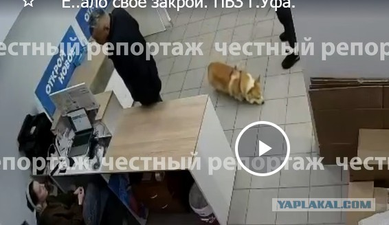 Е..ало своё закрой. ПВЗ г.Уфа.