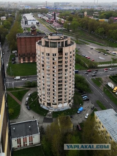 Москвичка обустроила сад на крыше супермаркета