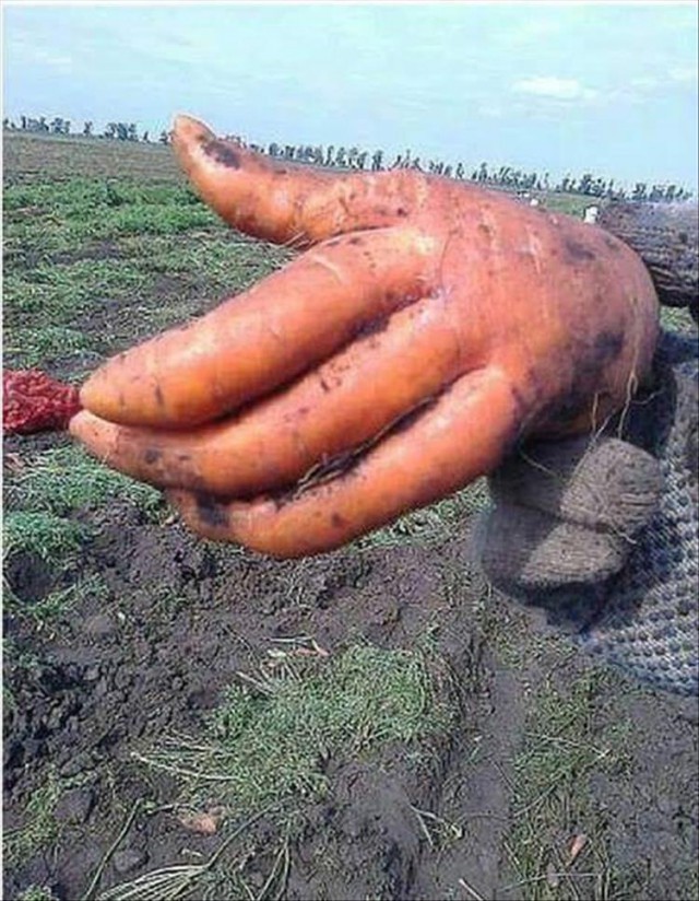 Любопытные картинки