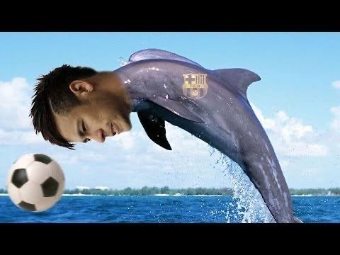 Дельфин и русалка