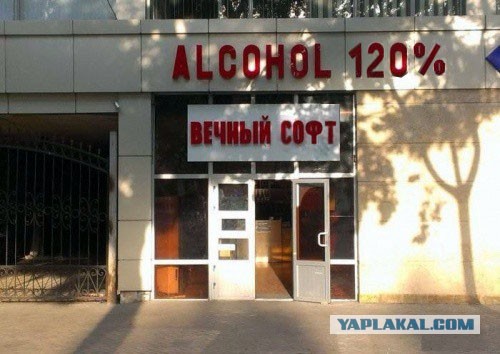 Маразмы года 2013