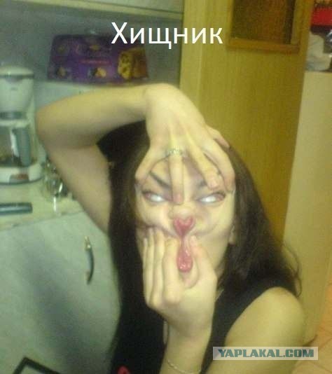 С соцсетей по нитке