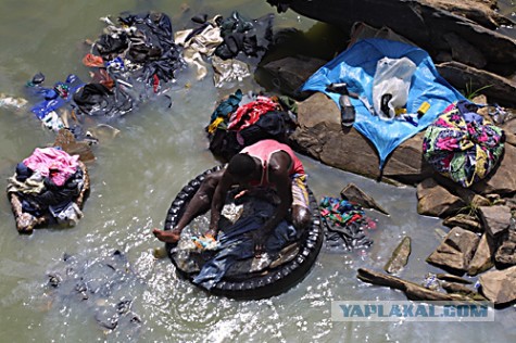 Генератор пожеланий 2014!