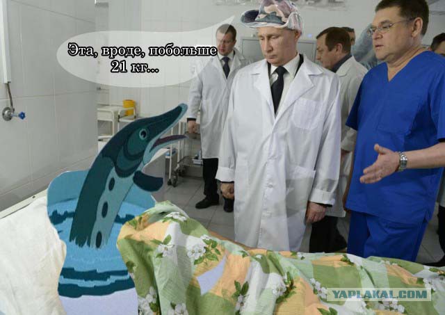 Под одеялом.Фотожаба.