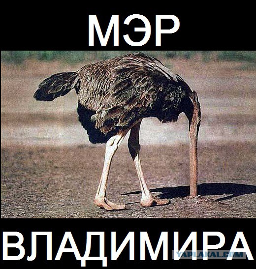 Мэр быстро среагировал