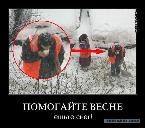 http://s00.yaplakal.com/pics/pics_original/0/8/6/3040680.jpg