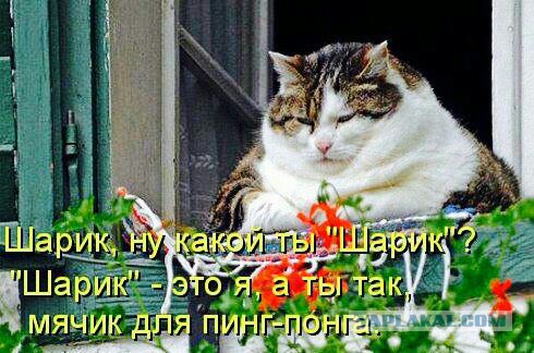 Прикольные картинки на понедельник .