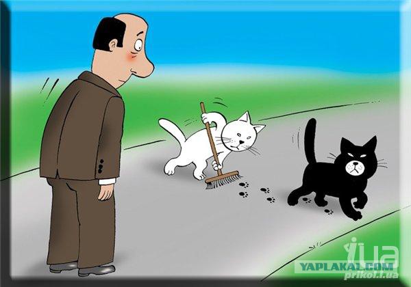 Добряки, плюсующие всех подряд