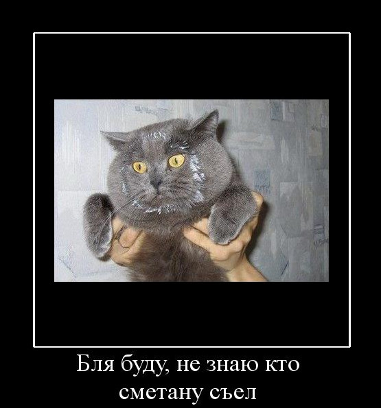 Купил, нашёл, едва ушёл.
