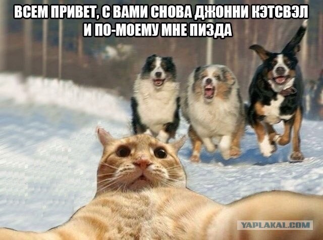 Свежие картинки из сети
