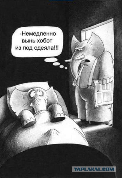 Смешные картинки