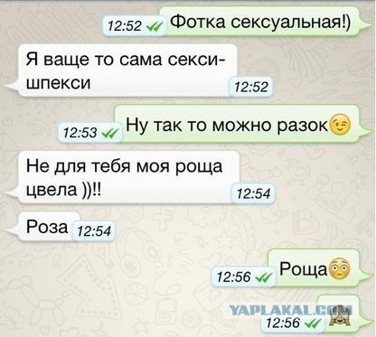 24 СМС от Циников