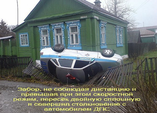 Веселые картинки