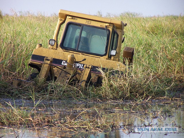 "Плюшевый мишка"