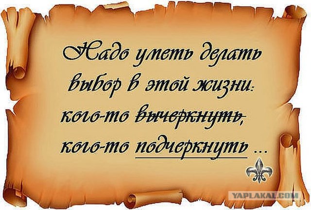 20 фактов обо всем