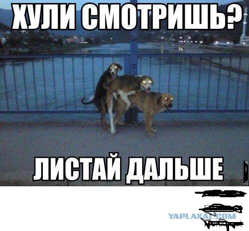 Ужасы и приколы из соцсетей 18+