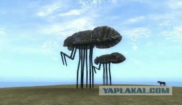 Удивившие своими размерами