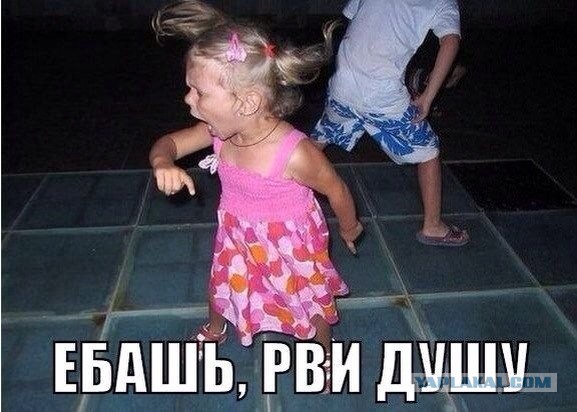 Забавные картинки из Сети