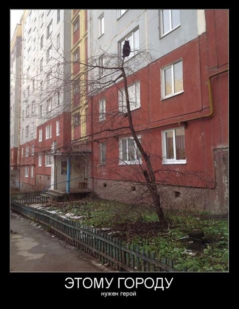 Весёлости