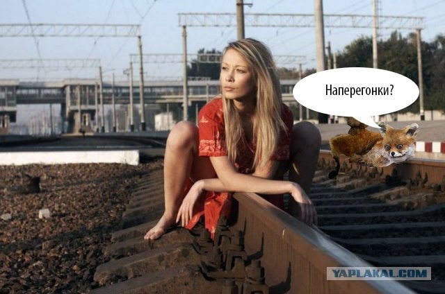 Монорельс 18+