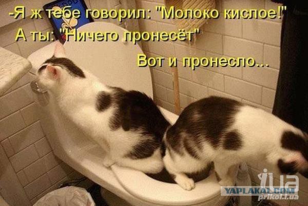 Афоризмы и картинки
