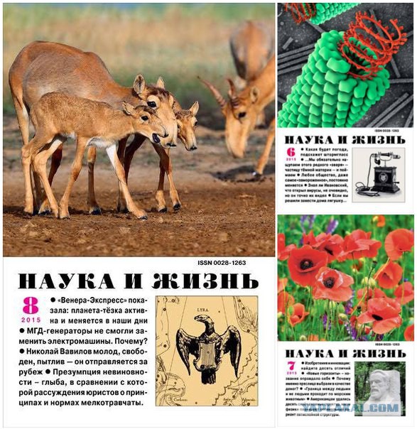 Интересные журналы