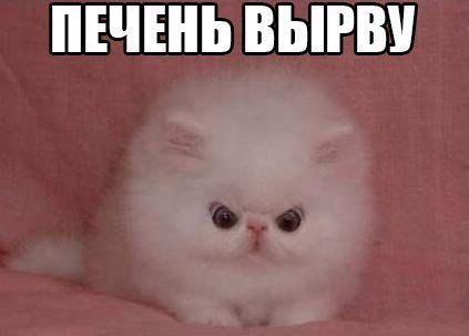 15 картинок с тЫрнета