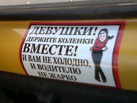Прикольные картинки