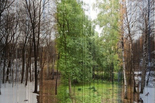 Интересные Научные Гифки и Картинки 6