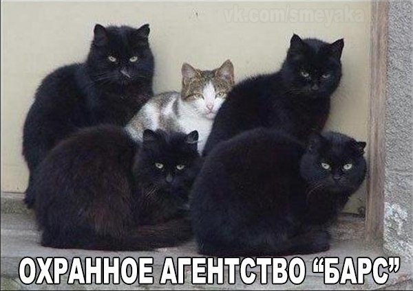 Картинки разные 2