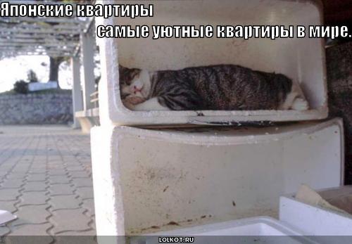 Жилье, туалеты и быт японцев