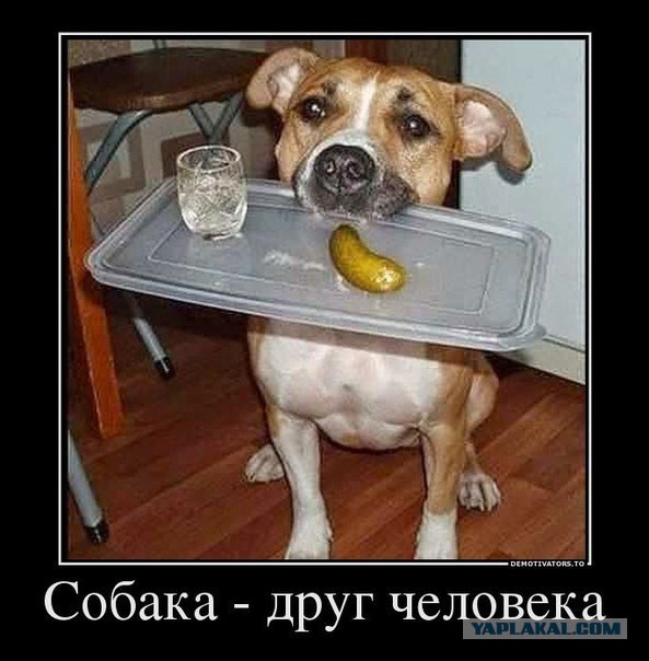 Картинки с надписями