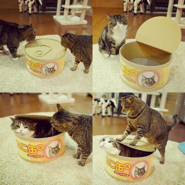 Подборка интересных и веселых картинок