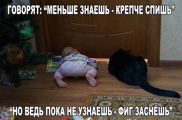 Малыши в компании котов