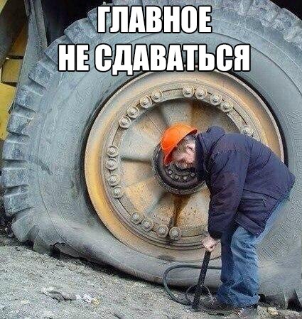 Подборка красивых и веселых картинок